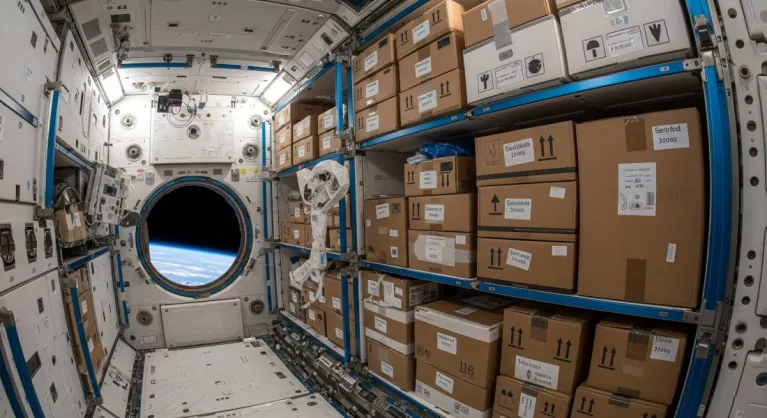 Die faszinierende Welt der Kartonverpackungen - Curiositäten und Fakten